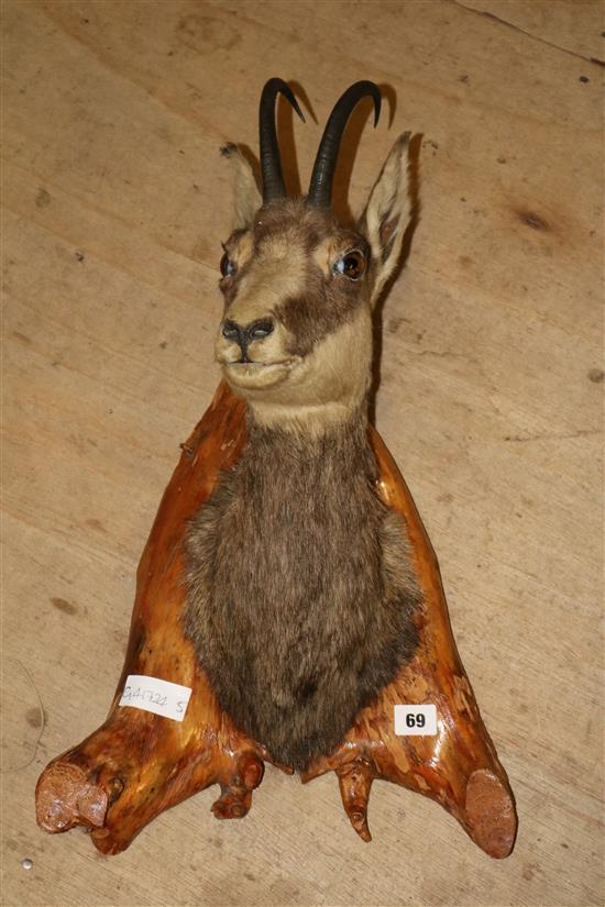 French mountain goat on a wooden plaque